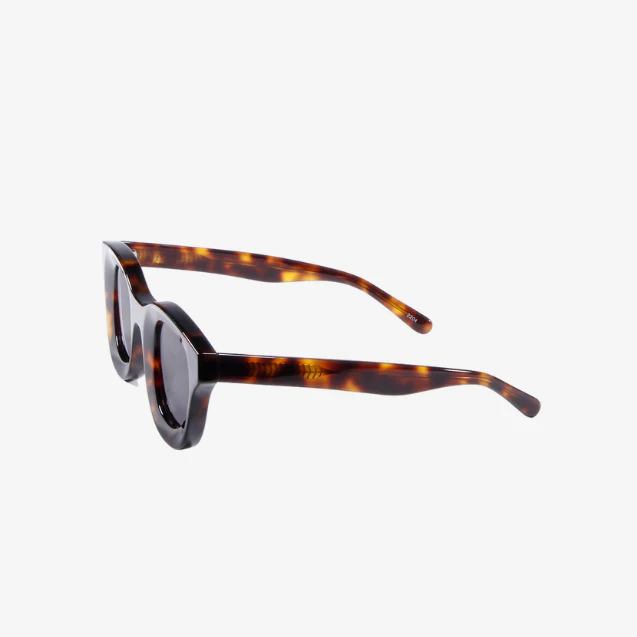 Chic Tortoise Shell Sunglasses
