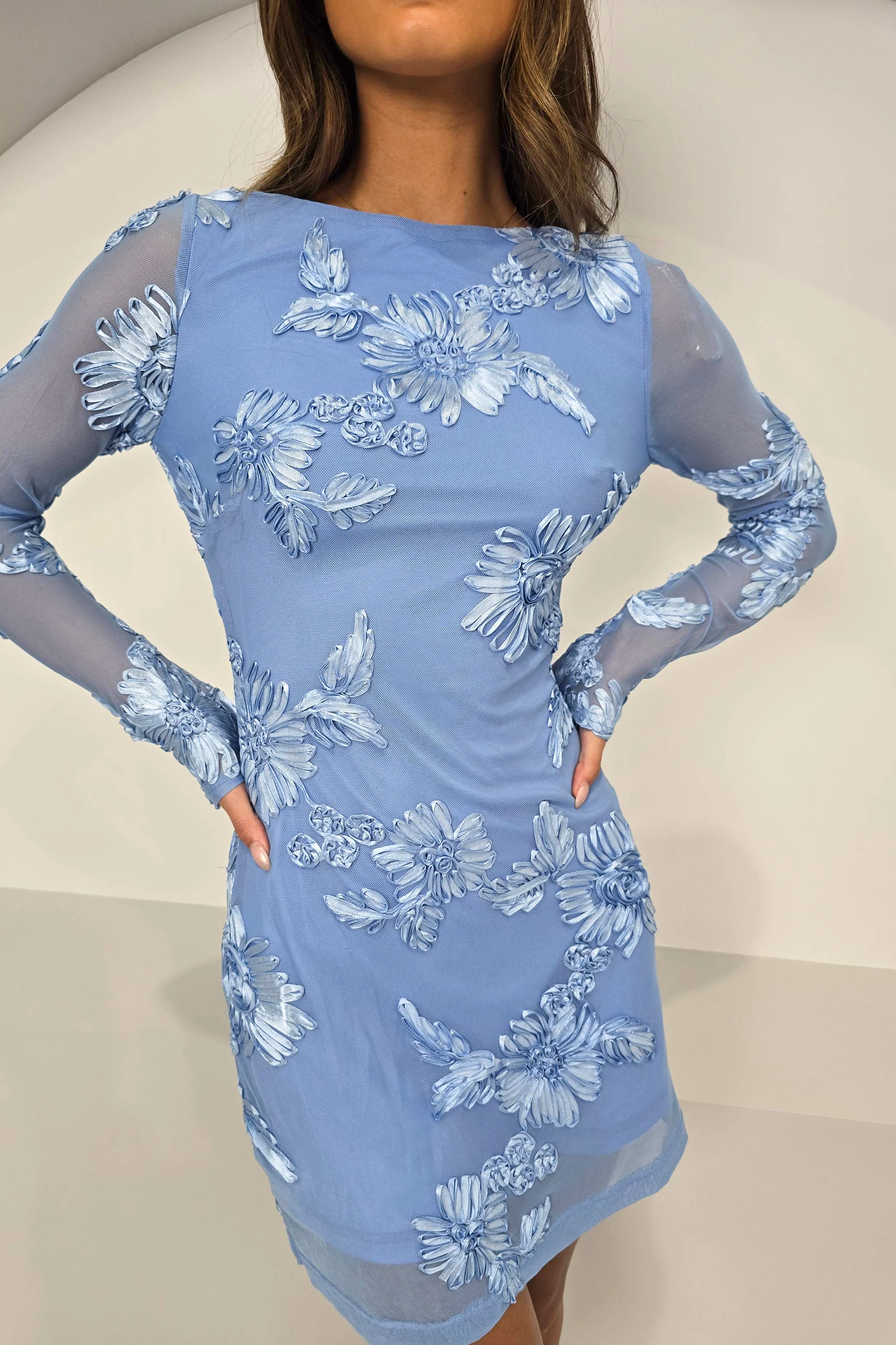 Elegant Blue Floral Mesh Dress